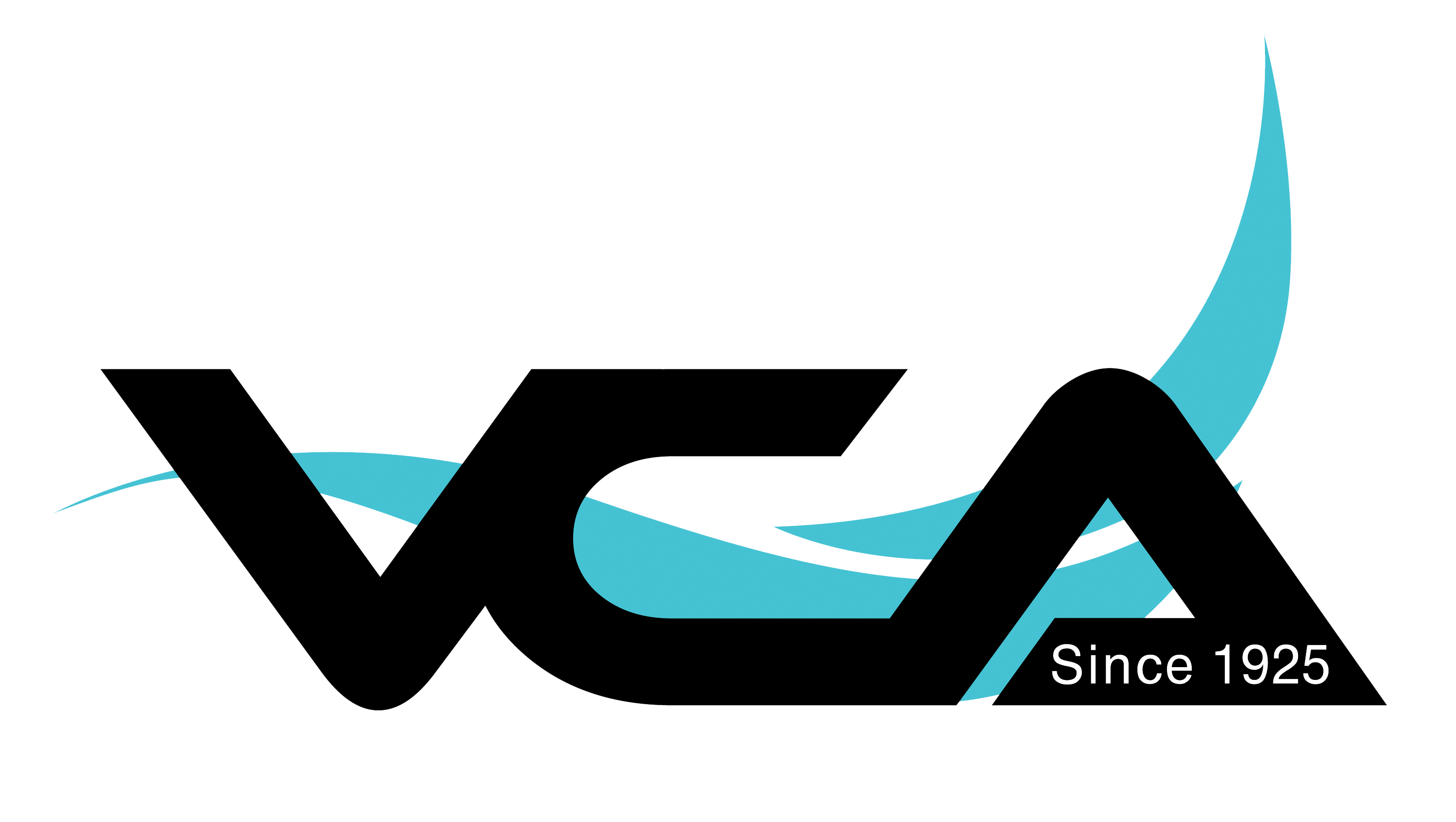 Logo of the Virginia Chiropractic Association
